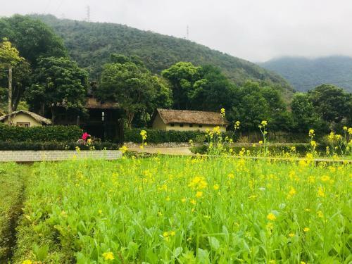 Mai Chau Villas