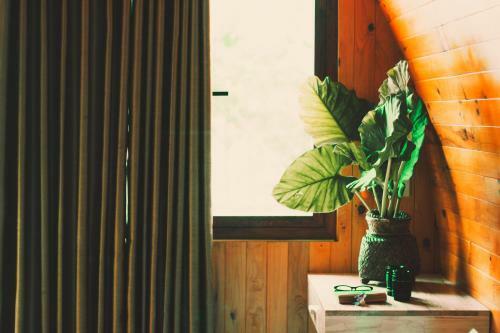 Agroturismo Chay Lap Farmstay & Resort