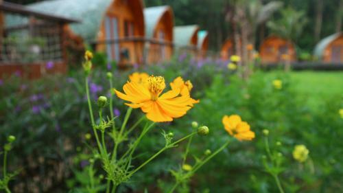 Agroturismo Chay Lap Farmstay & Resort
