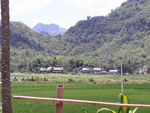 Little Mai Chau Home Stay
