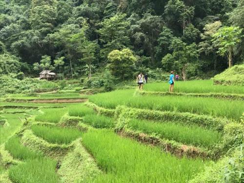 Little Mai Chau Home Stay