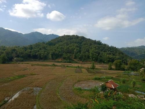 Truong Huy Homestay