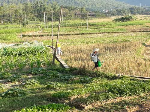 Truong Huy Homestay