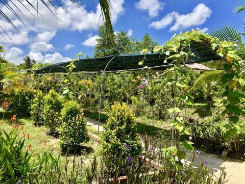 Bed & Breakfast Bungalow Yen Trinh