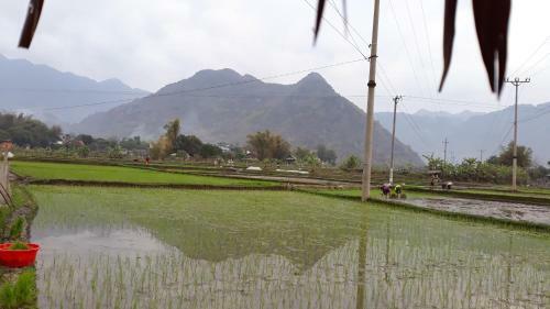 Hung Mai Homestay
