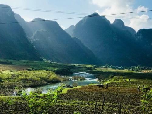 Phong Nha Riverlife Homestay
