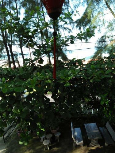 Hostal Nguyet Anh Guesthouse