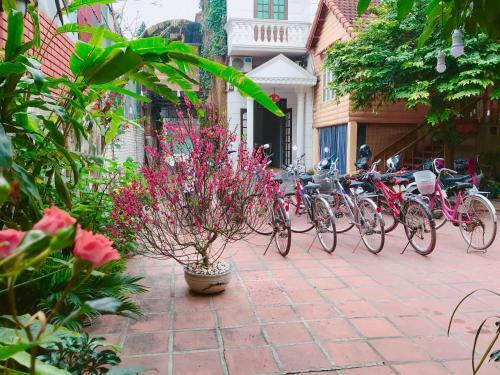 Ninh Binh City View Homestay