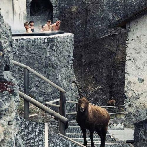 Hotel Albergo Motel Dosd�