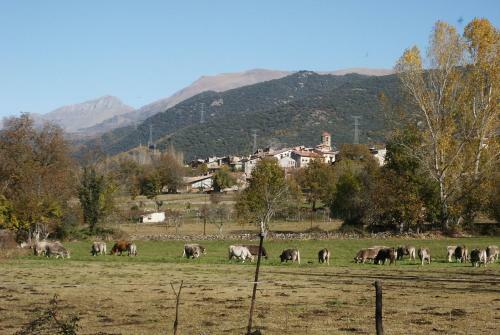 Aparthotel L`estan�a De L`era