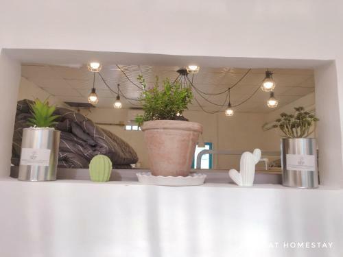 Apartamento Bigdog Homestay