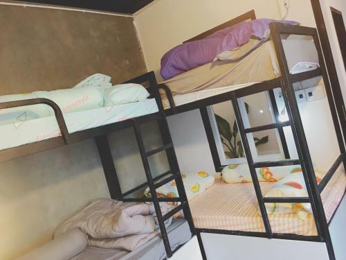 Apartamento Bigdog Homestay