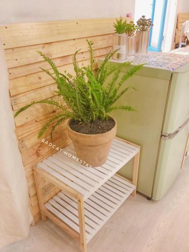 Apartamento Bigdog Homestay