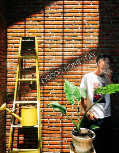 Apartamento Bigdog Homestay