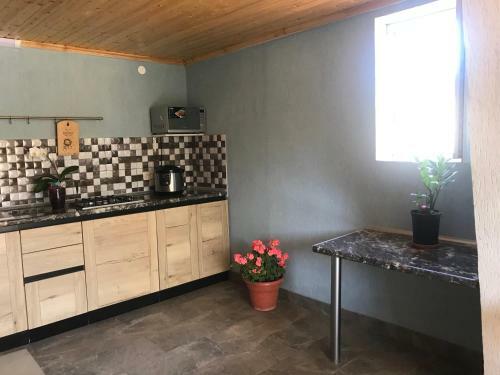 Hostal Guest House Family