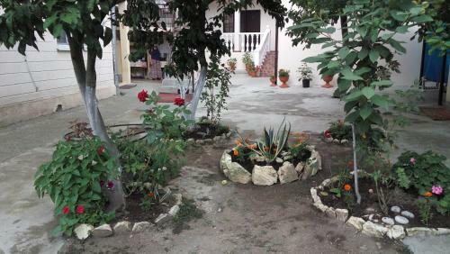 Hostal Guest House On Koltsevaya