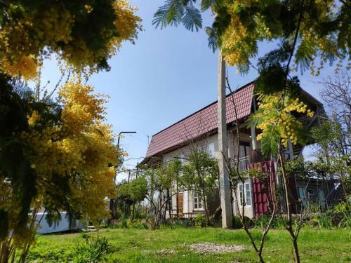 Hostal Guest House Anna