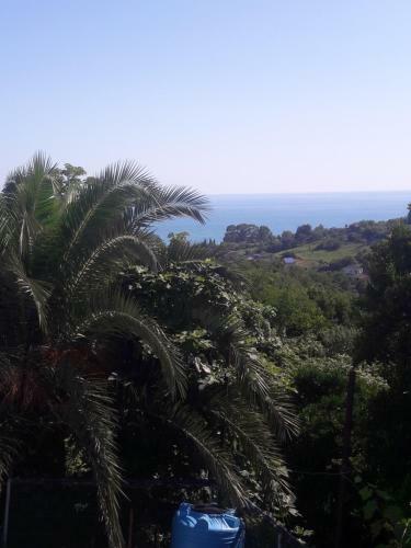 Hostal Gayane Guest House