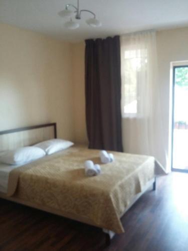 Posada Guest House On Adleyba 146