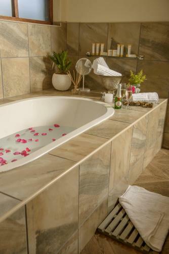 Becks Safari Lodge