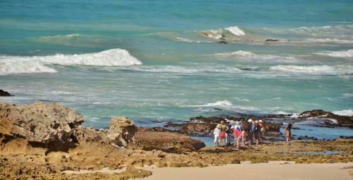 De Hoop Collection