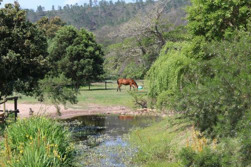 Agroturismo Boschrivier Farm