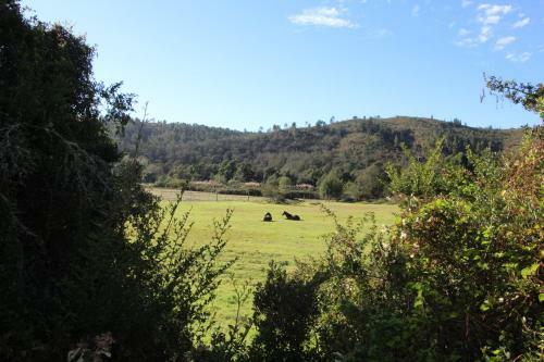 Agroturismo Boschrivier Farm