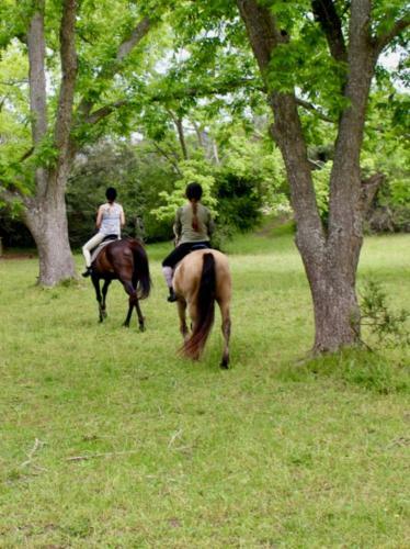 Agroturismo Boschrivier Farm