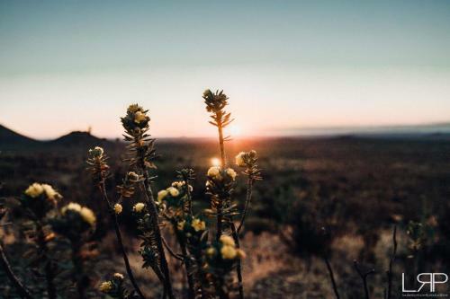 Sweetfontein Boutique Farm Lodge