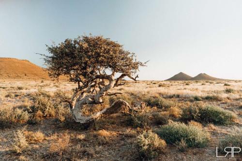 Sweetfontein Boutique Farm Lodge