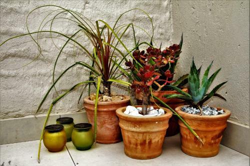 Lodge Graceland Eco Retreat