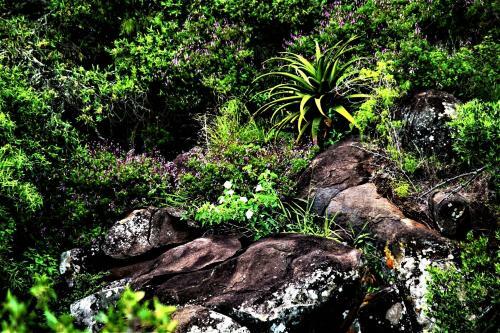 Lodge Graceland Eco Retreat