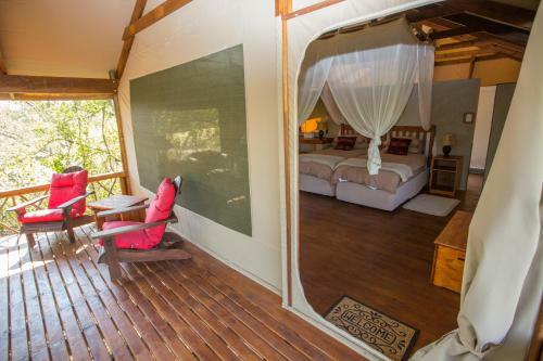 Lion Tree Top Lodge