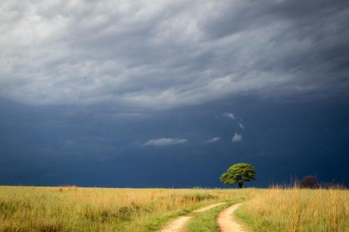 Hotel Ezemvelo Nature Reserve