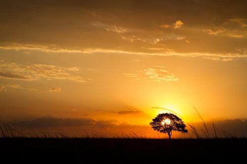 Hotel Ezemvelo Nature Reserve