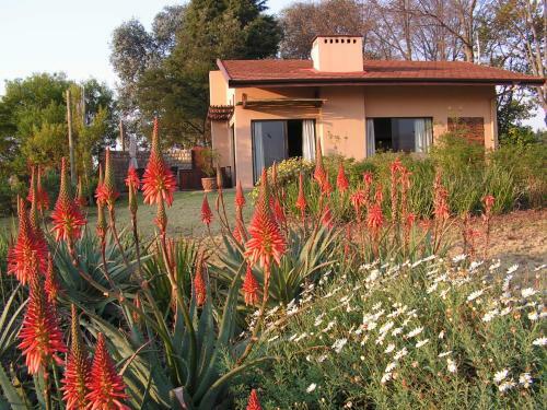 Ama Casa Cottages