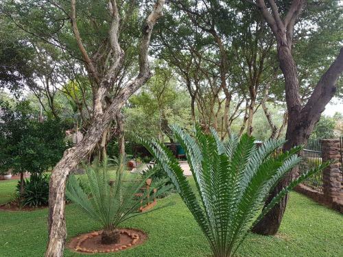 Hostal El Shadai Guest House