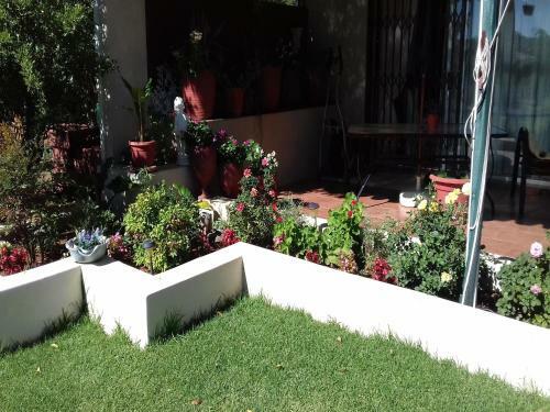 Hostal Jasmine Cottage