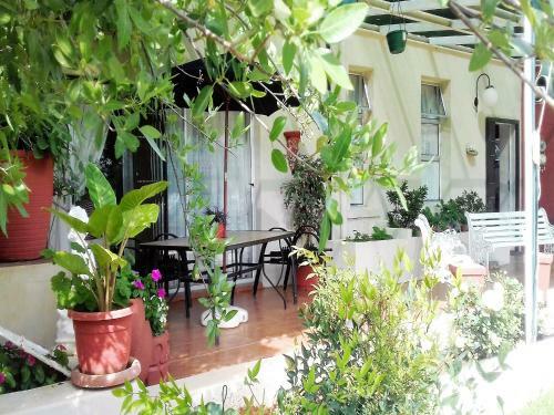 Hostal Jasmine Cottage