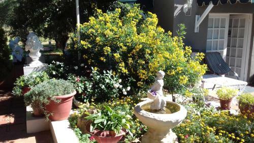Hostal Jasmine Cottage