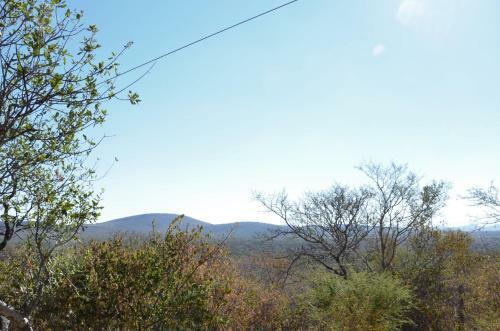 Hotel Thulani Game Lodge & Eco Estate