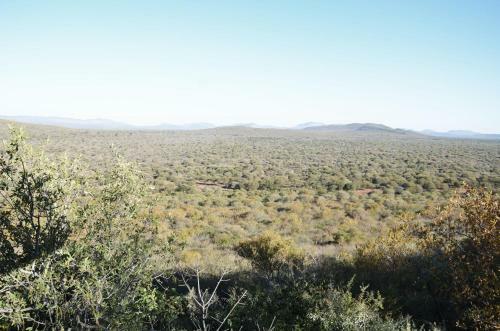 Hotel Thulani Game Lodge & Eco Estate