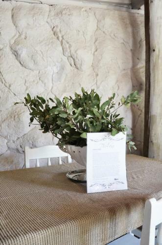 Hotel Thulani Game Lodge & Eco Estate