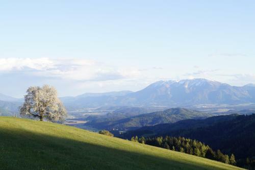 Hostal 'kleine Welt' Almpension & Gastst�berl