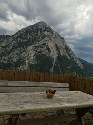 Apartamento Gasthof Dachsteinblick