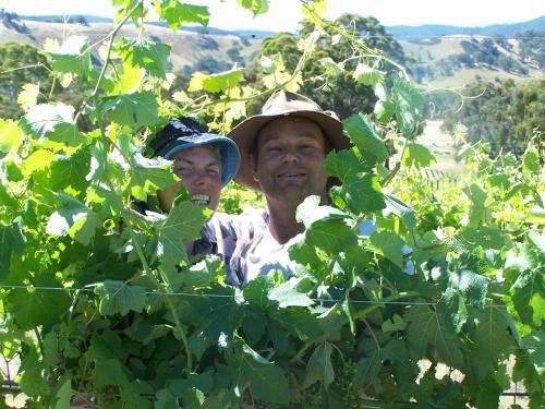 Apartamento Wimmera Hills Winery