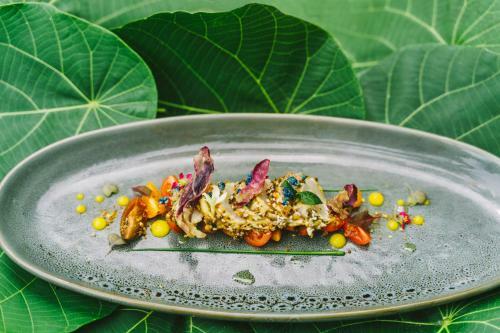Hotel Elysian Retreat - All Inclusive Retreat