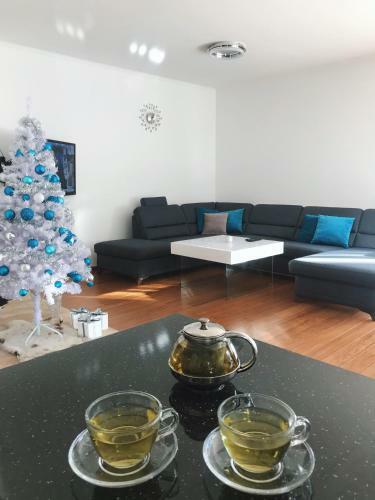 Luxury Villa Kadic