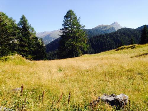 Posada Gasthaus Alpenrose