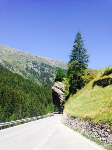 Posada Gasthaus Alpenrose